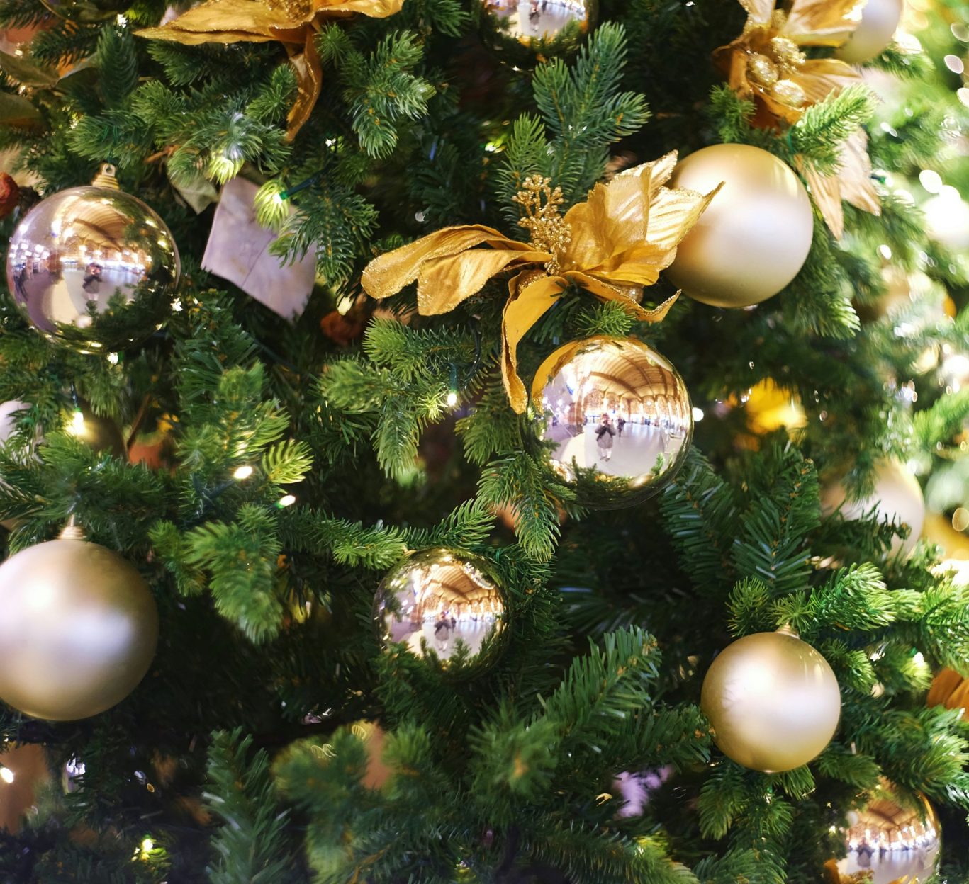 dmitrii-e-28AvajHOpWE-unsplash